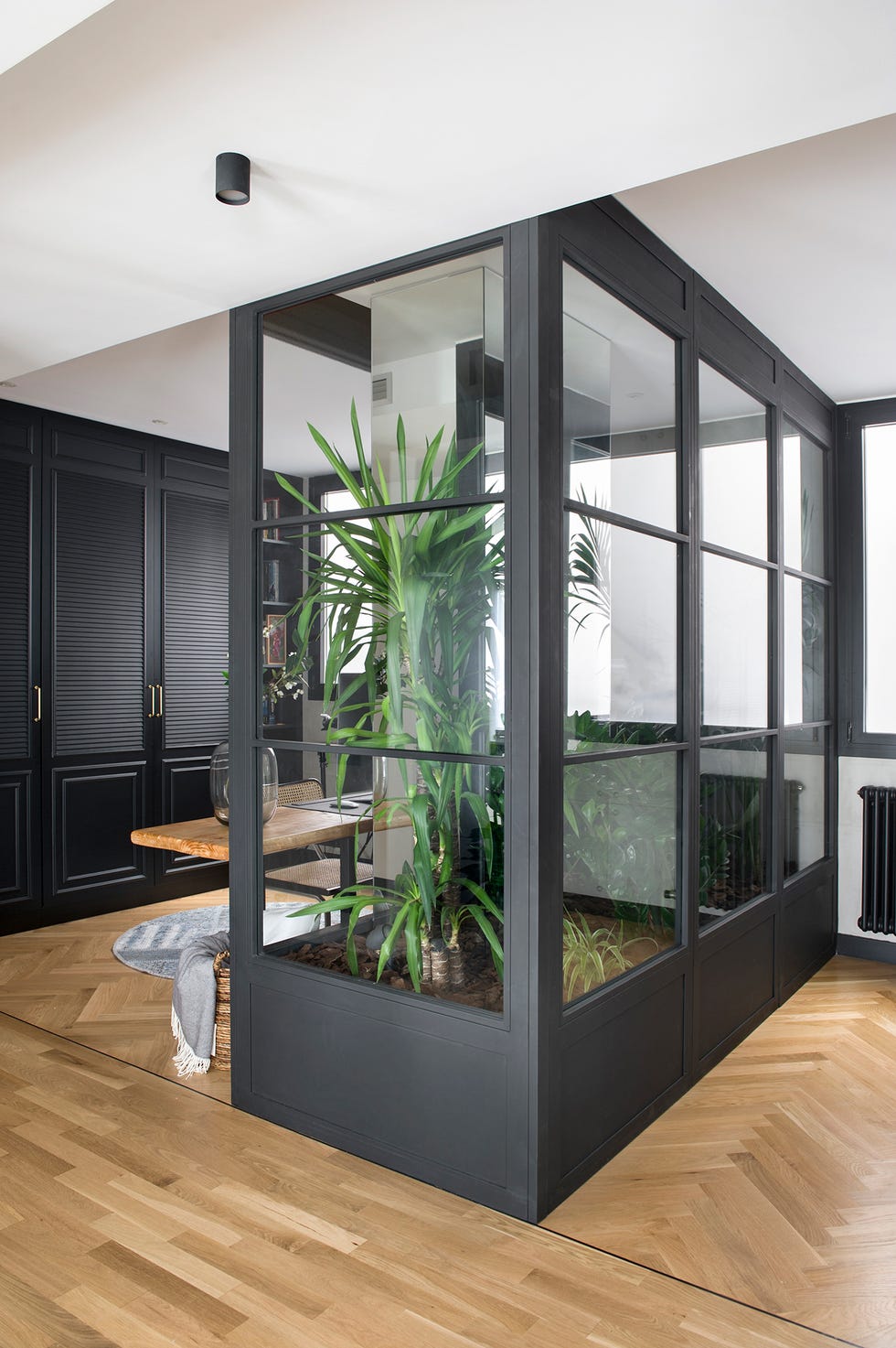 cubículo con paredes acristaladas y un jardín interior