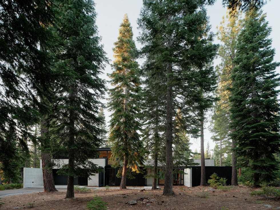 casa de arquitectura moderna en el bosque