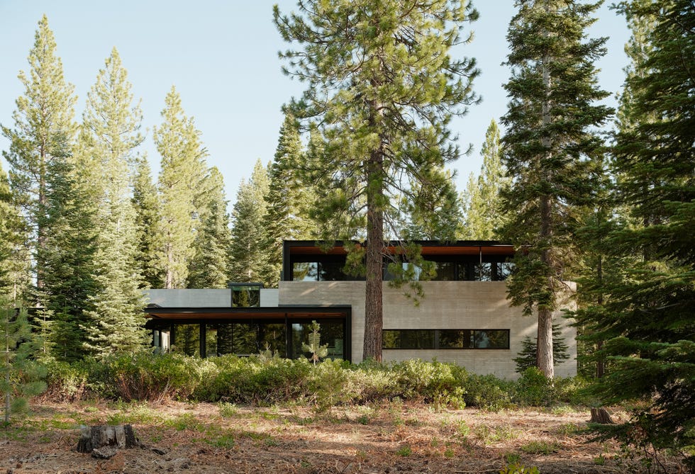 casa de arquitectura moderna en el bosque
