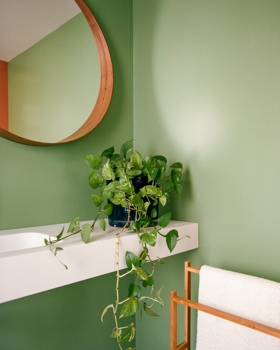 baño pintado en verde con lavabo volado