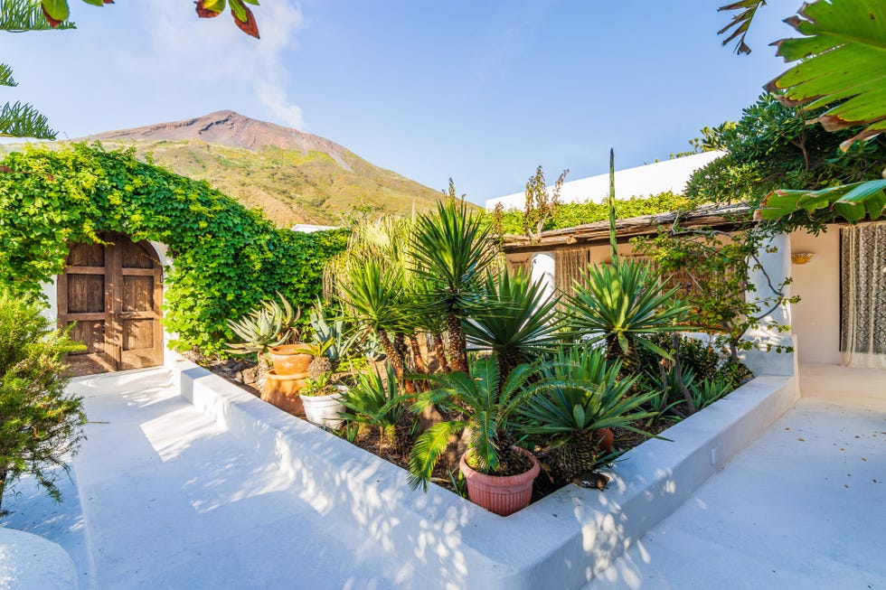 jardín en la casa de dolce  gabanna