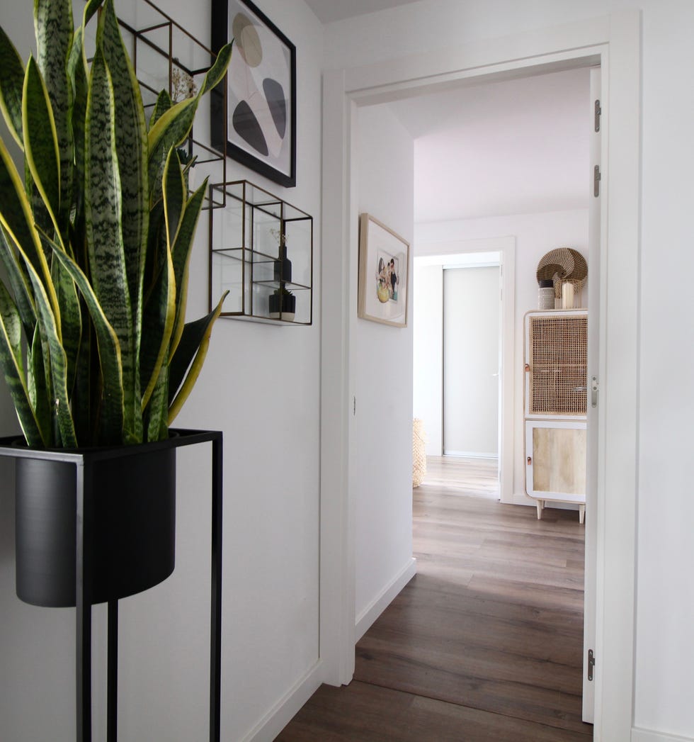 Proyecto integral de decoración