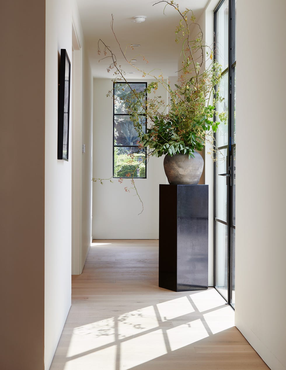 pasillo con luz natural y planta de interior