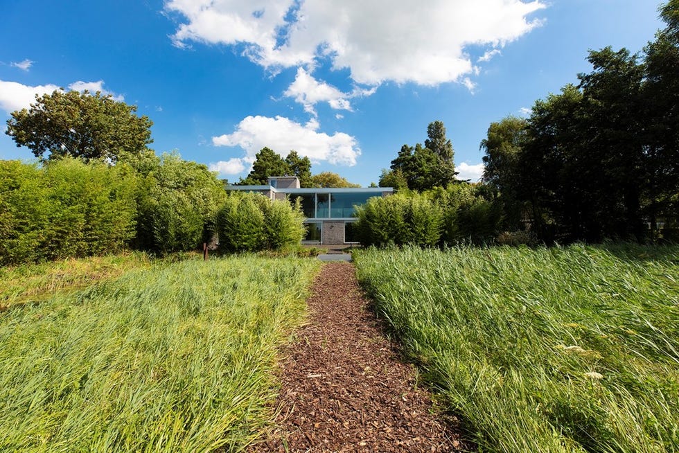 una casa en el lago rodeada por un bosque, en países bajos