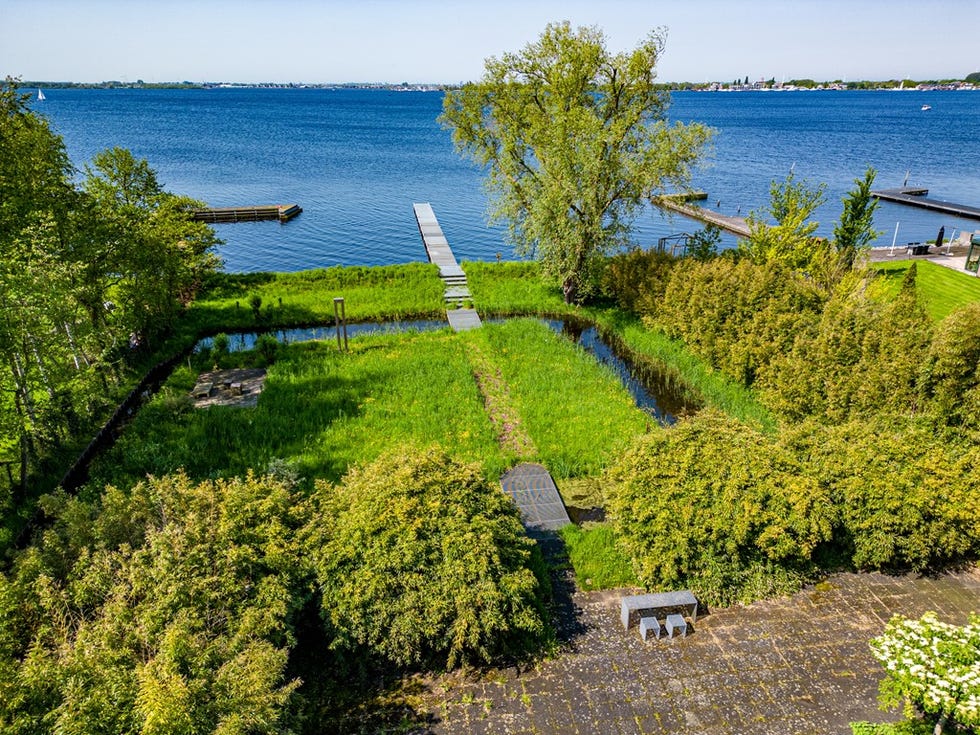 una casa en el lago rodeada por un bosque, en países bajos