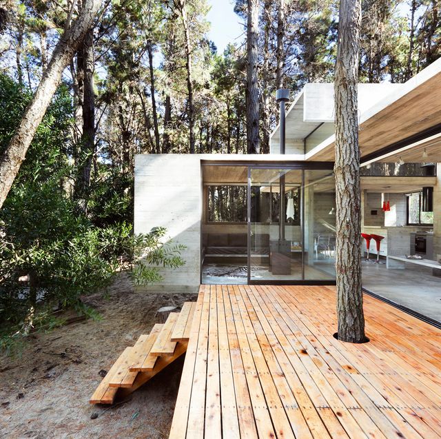 Una casa de hormigón que dialoga con un bosque en Argentina
