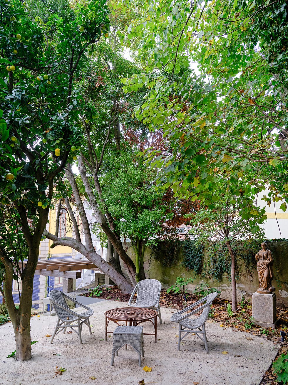 casa hotel massarelos oporto jardin