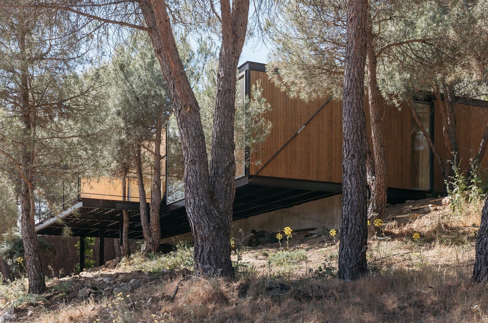 casa modular en el bosque