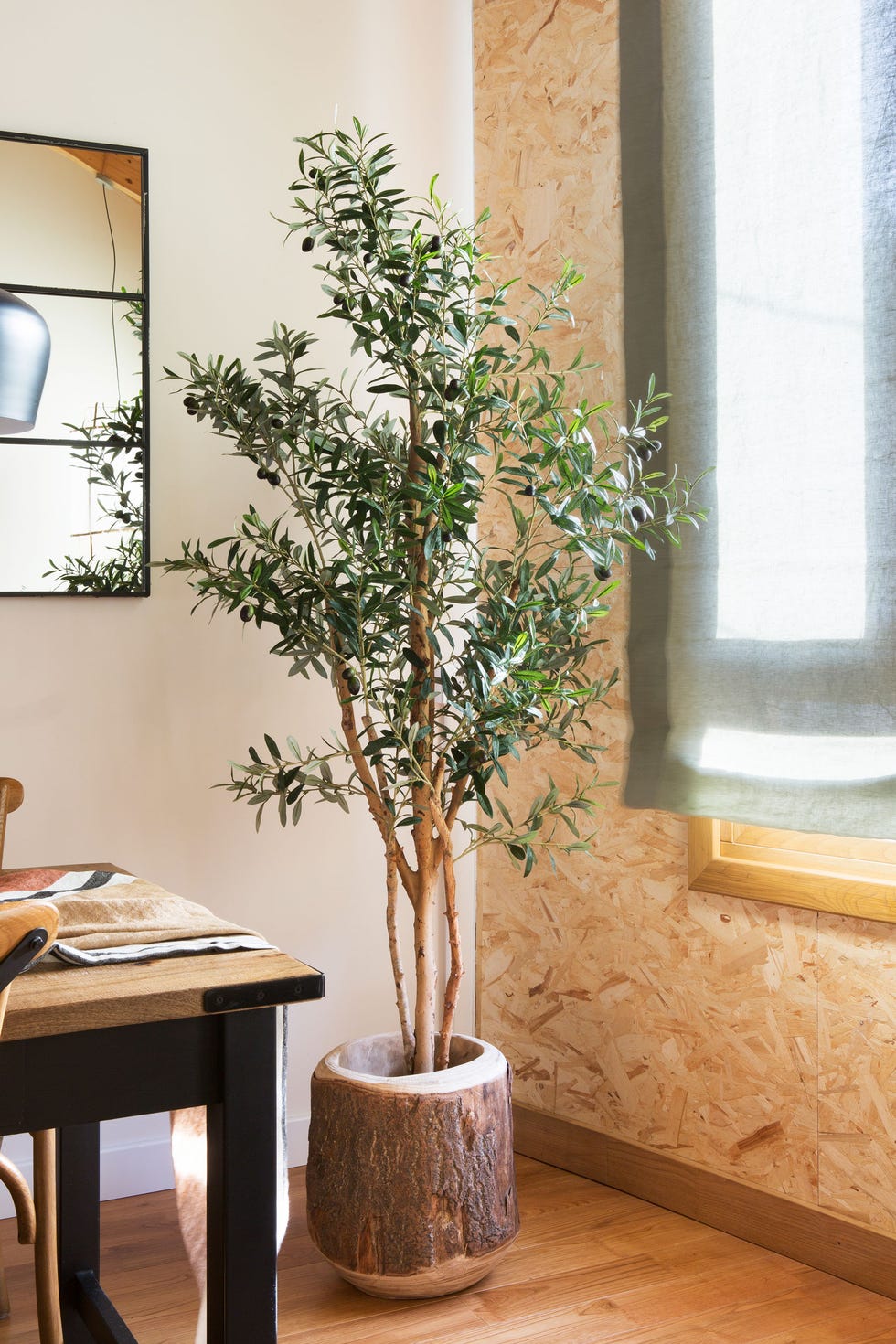 Árbol de interior