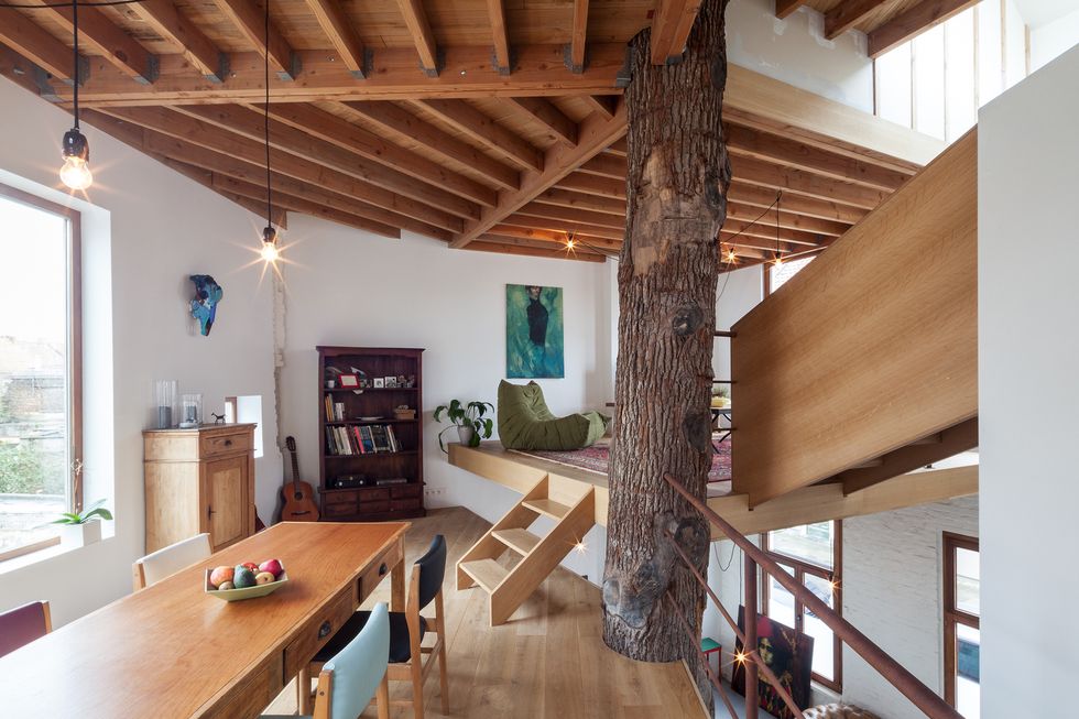 una casa pentagonal alrededor de un tronco de roble en gante por Atelier vens vanbelle