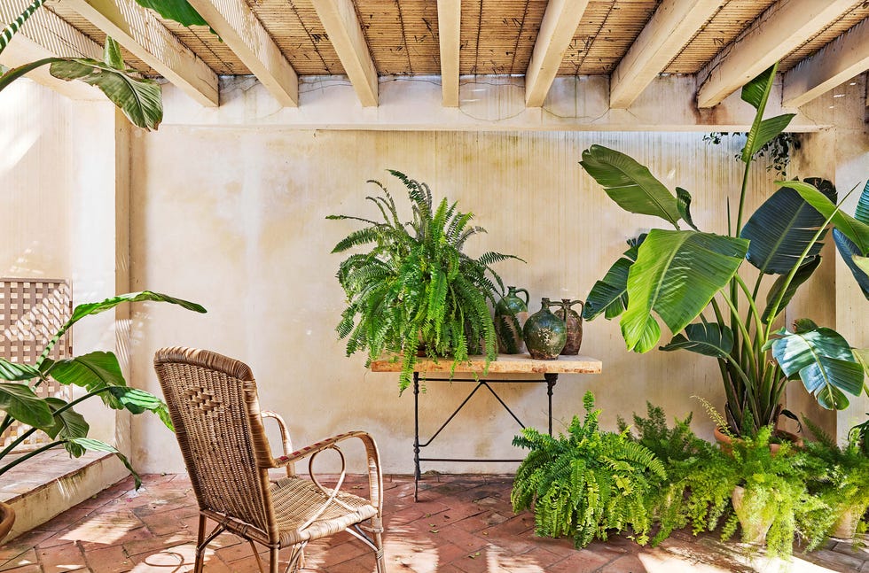 casa en el puerto de santa maría: porche con plantas