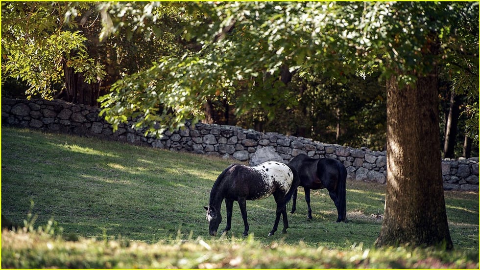 casa de campo de richard gere y alejandra silva cerca de nueva york es una finca con caballos