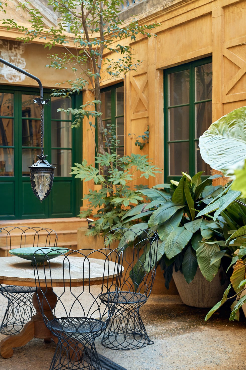 patio interior decorado con plantas