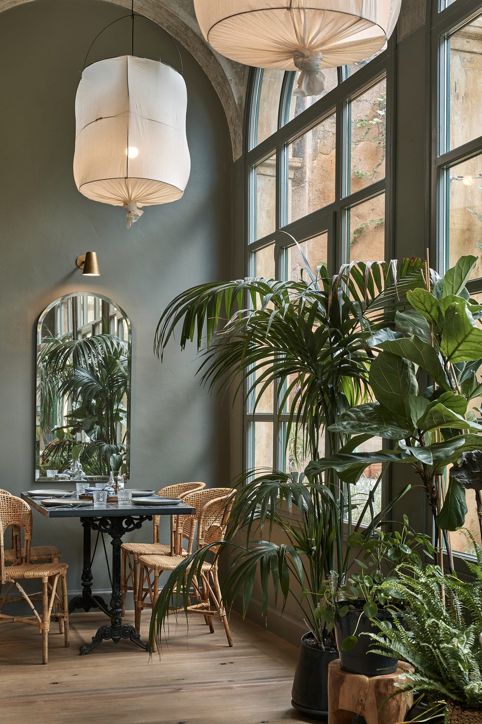 comedor con sillas de ratán y plantas altas exóticas