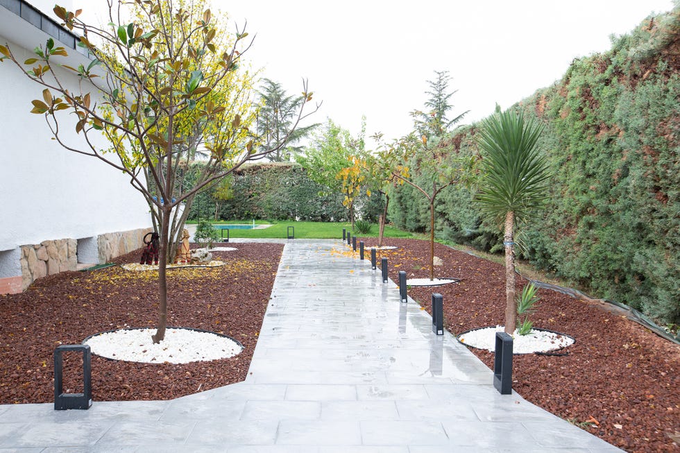 camino de baldosas en el jardín