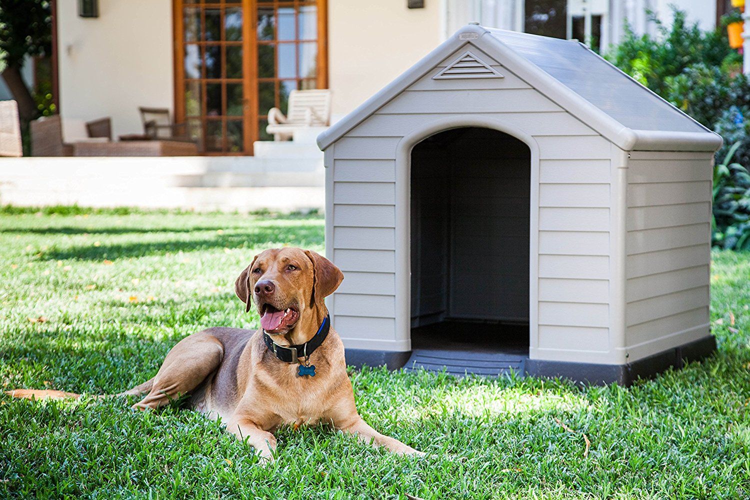 Billuyoard Casa para perros, caseta para exteriores, perrera