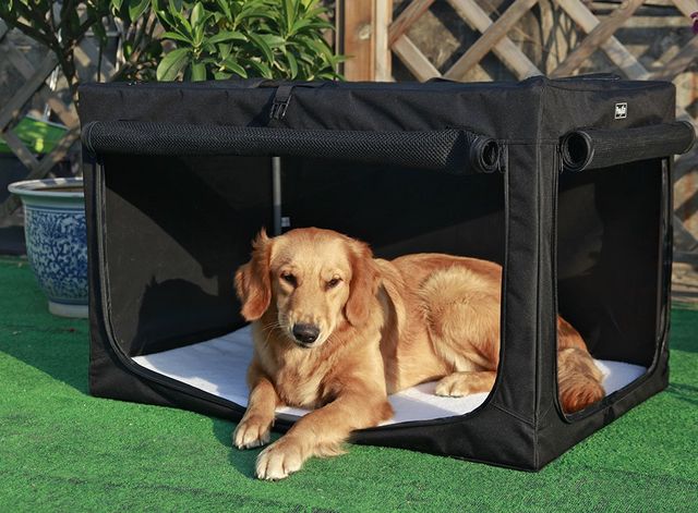 Las mejores 29 ideas de Casa de Perro  casas para perros, casetas para  perros, casitas para perros