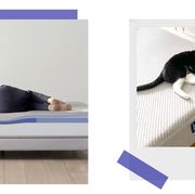 woman sleeping on casper foam mattress, cat on casper original