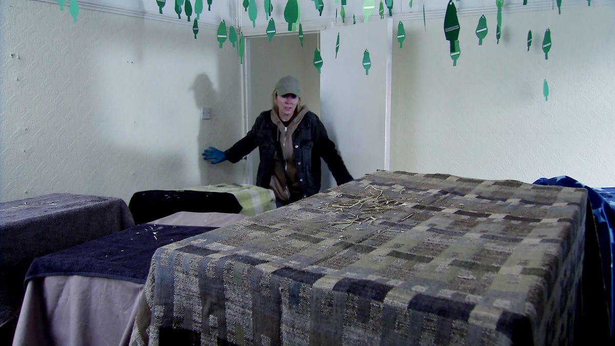 Coronation Street spoilers - Cassie takes action against Terry