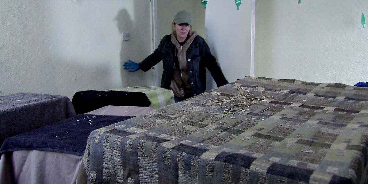 Coronation Street spoilers - Cassie takes action against Terry