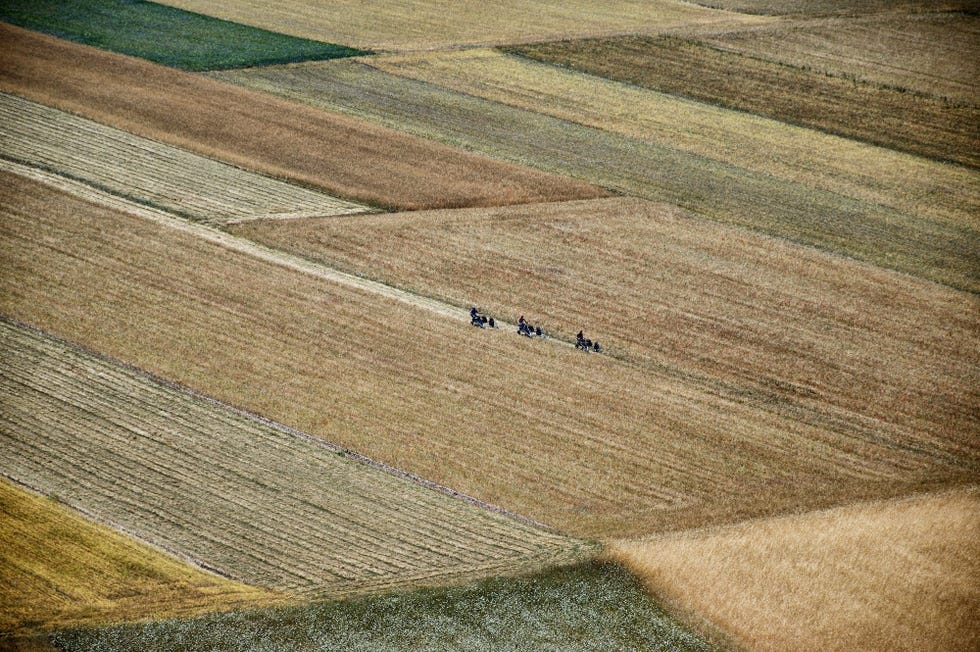 I campi di raccolta a Castelluccio 