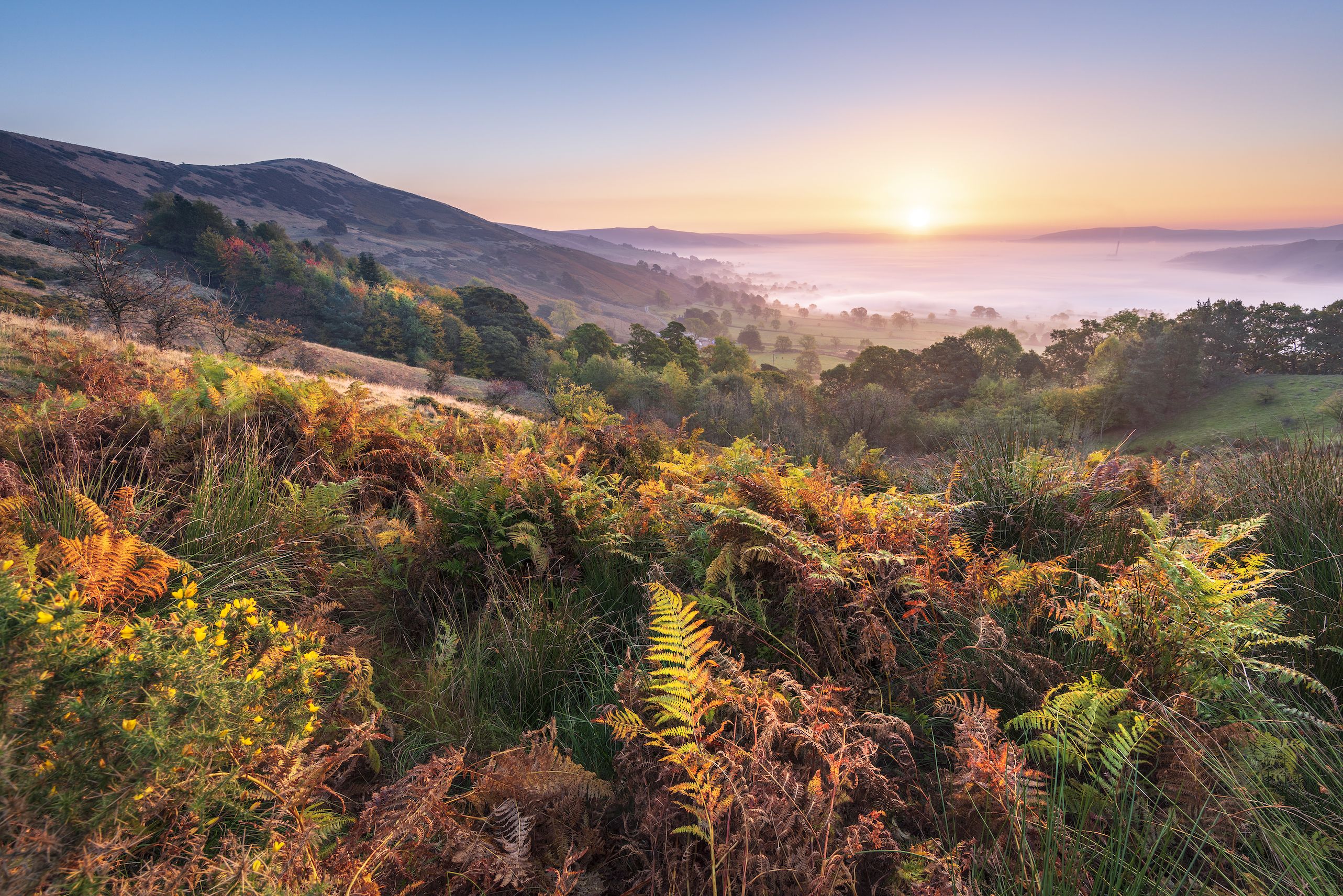 When is the best time to see Autumn leaves in the UK?