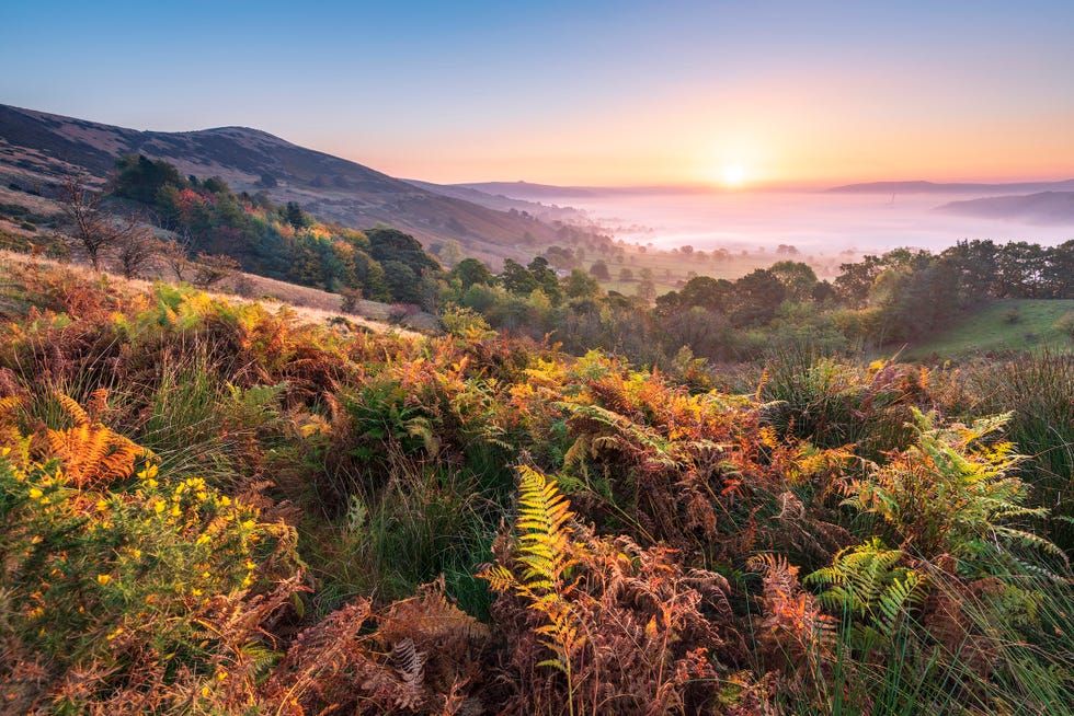 hope valley on a beautiful misty morning in autumn with rustic bracken and golden trees glowing with the first light of the day in the english peak district national park castleton, hope valley, uk