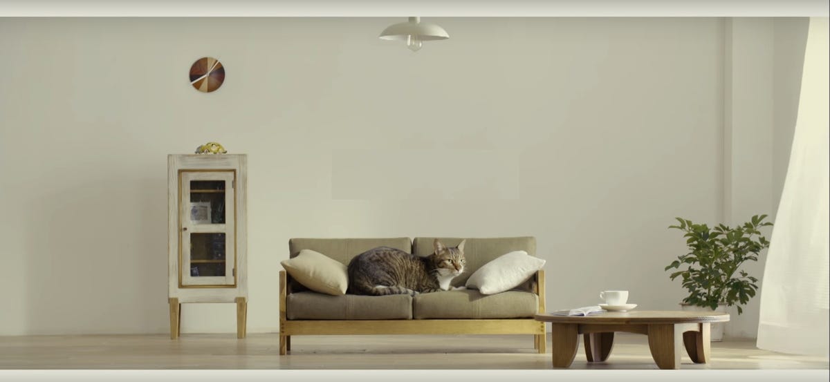 Il nuovo must dell'arredamento: il divano per gatti