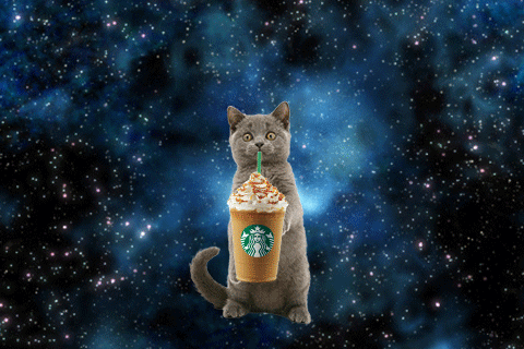 Atmosphere, Space, Felidae, Whiskers, Snow, Illustration, 
