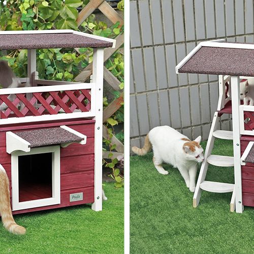 doghouse, kennel, grass, backyard, dog supply, canidae, dog, house, yard, table,