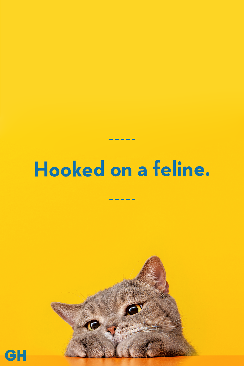 yellow cat quote card