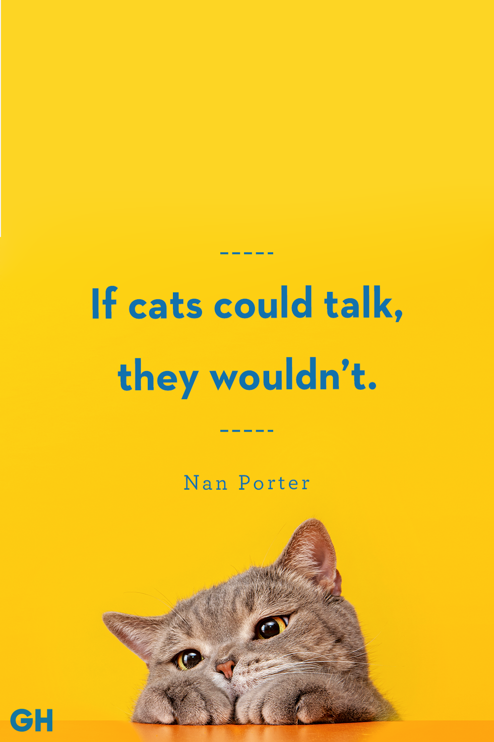 yellow cat quote card