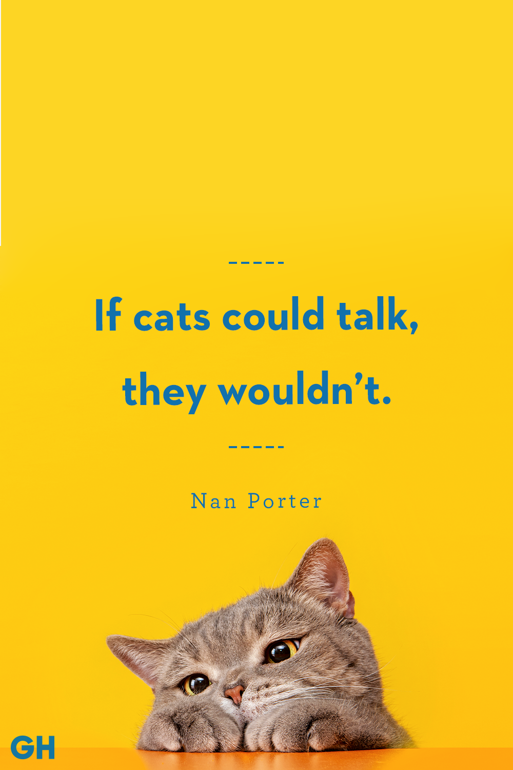 Cute Cat Captions For Instagram Caryn Cthrine
