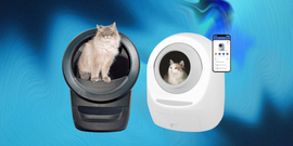 3 best automatic self cleaning litter boxes to keep your cat happy