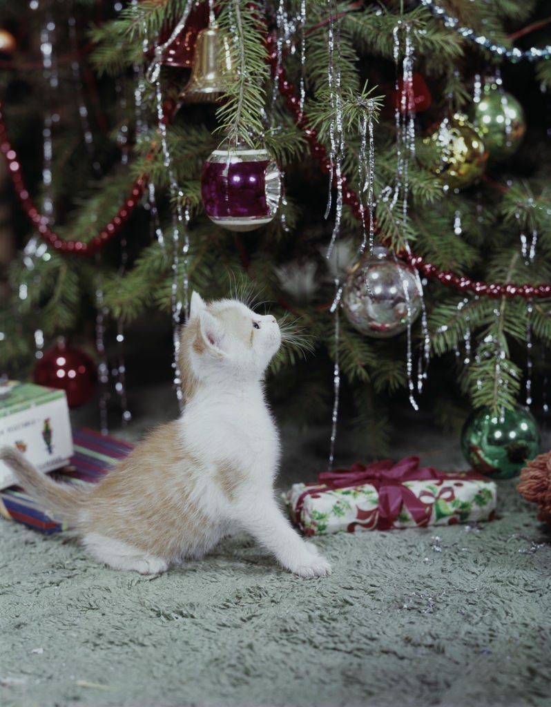 We&rsquo;ve Figured Out How to Keep Your Cat out of the Christmas Tree