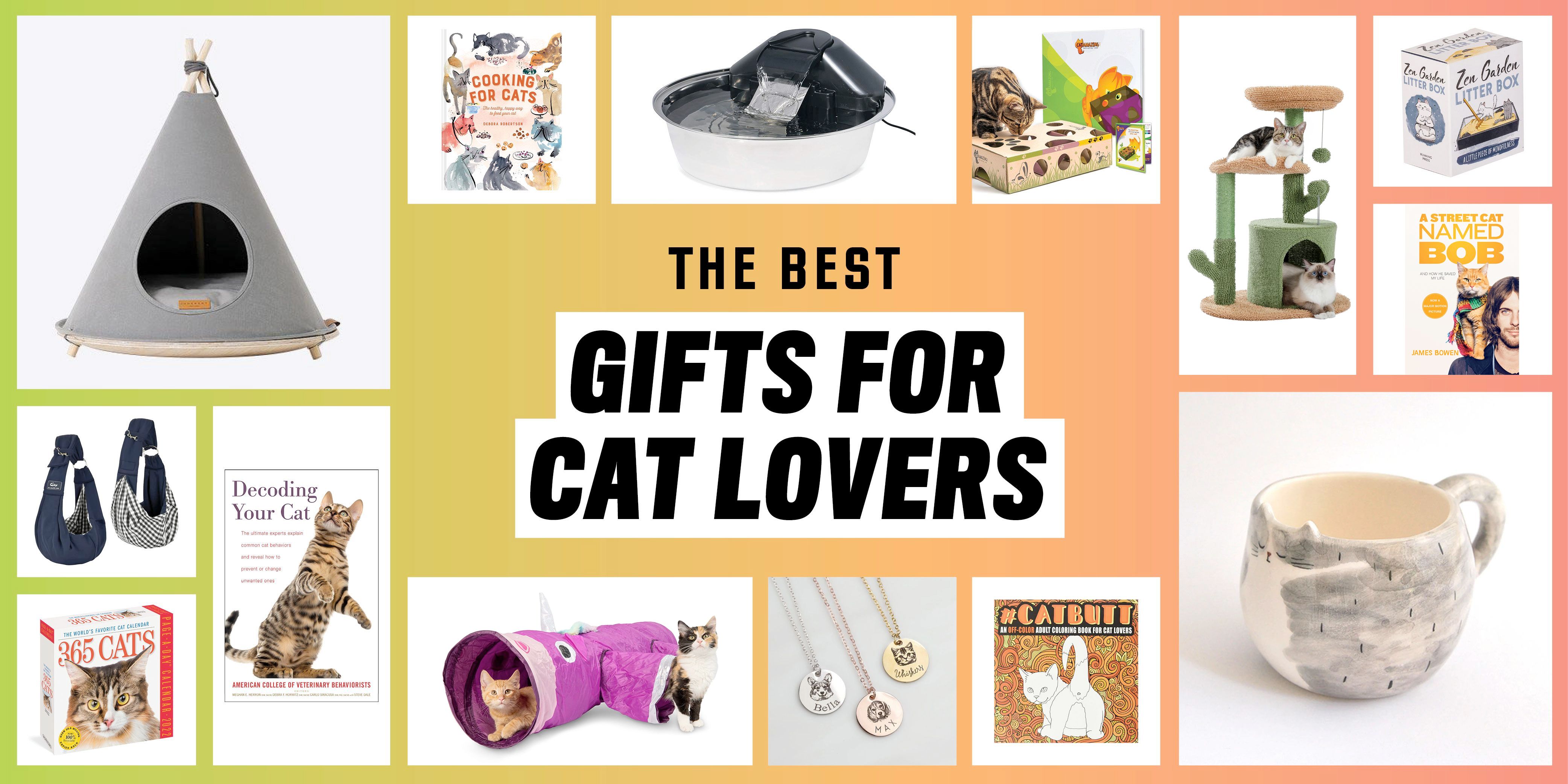35 Gifts Cat in 2022 Cat Lover Gift Ideas