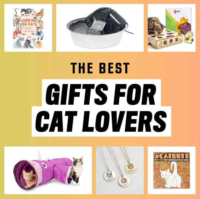 35 Best Gifts for Dog Lovers in 2022 - Dog Lover Gift Ideas