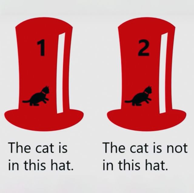 cat logic problem