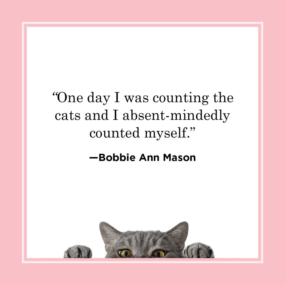 funny cat quote by bobbie ann mason