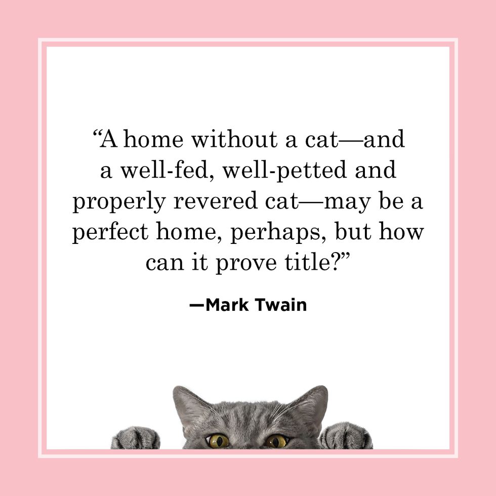 cat quote by mark twain