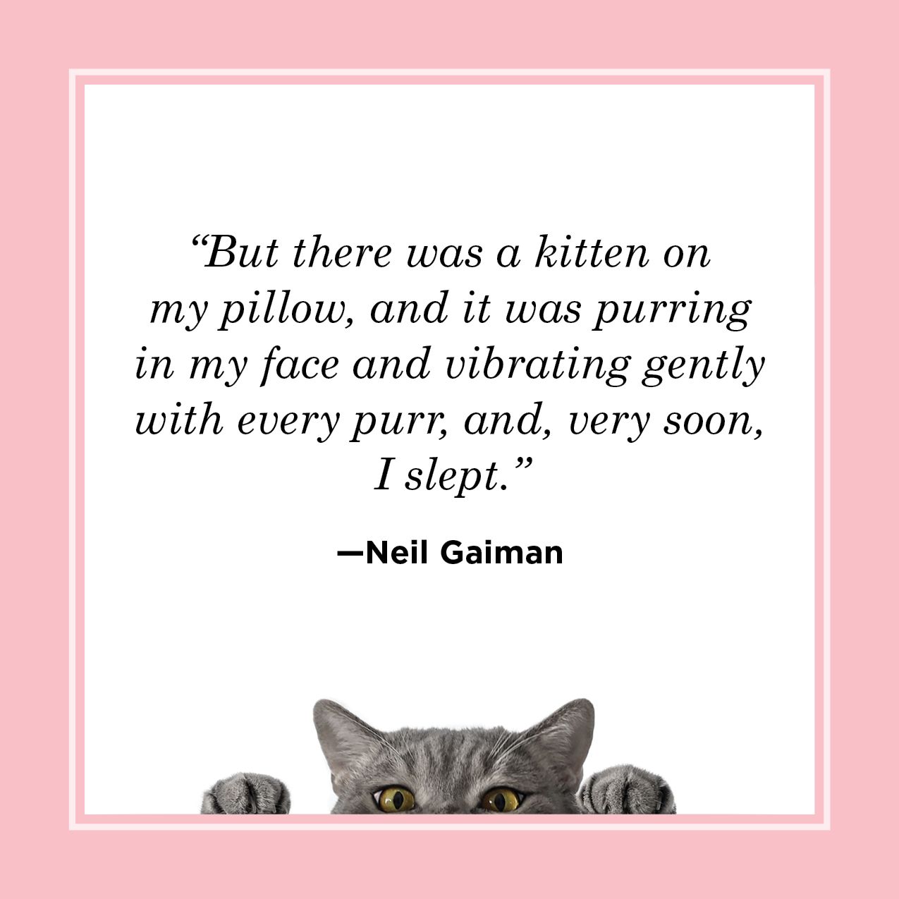 kitten valentine quotes