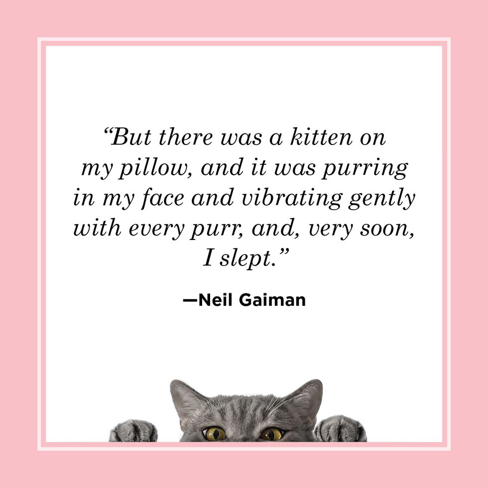 cat quote about purring by neil gaiman