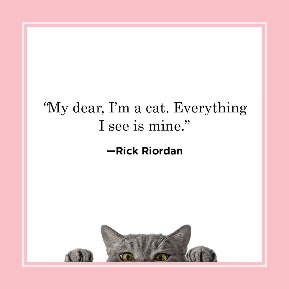 cat quote by rick riordan