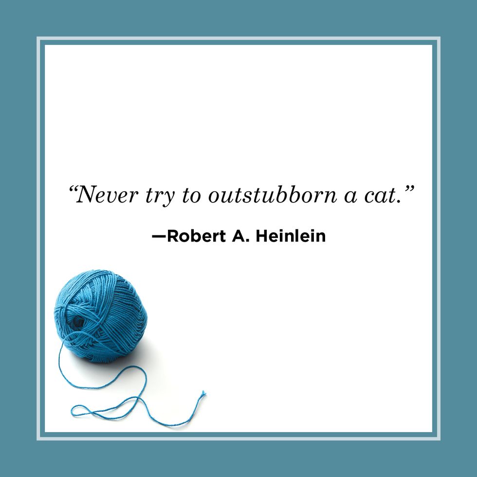 cat quote by robert a heinlein