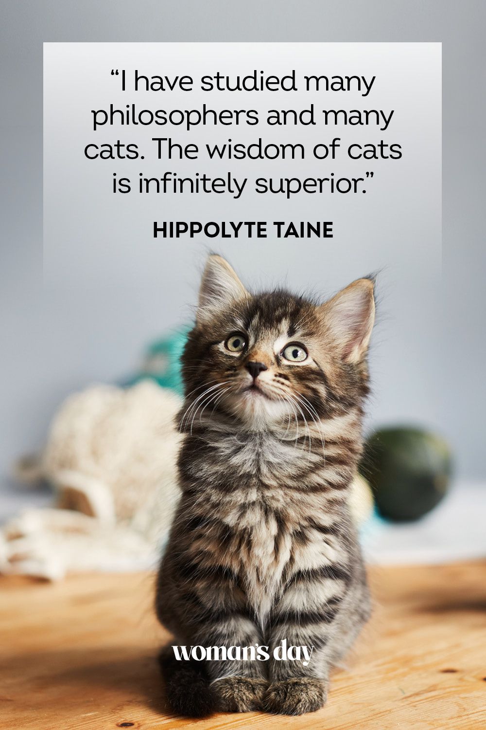 45 Best Cat Quotes - Cute Cat Sayings to Describe Your Kitten