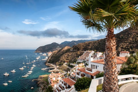 catalina island resort and avalon bay