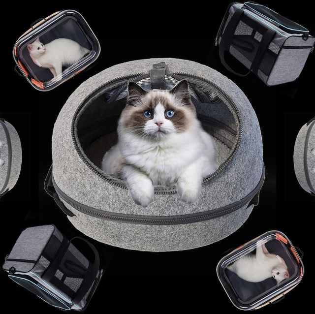 The 12 Best Cat Carriers of 2024, Tested and Reviewed