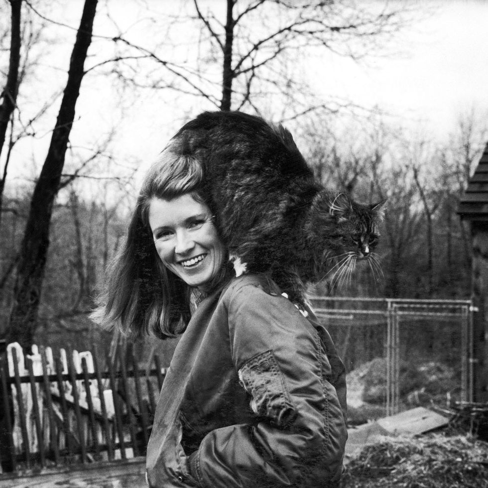 martha stewart photos over the years