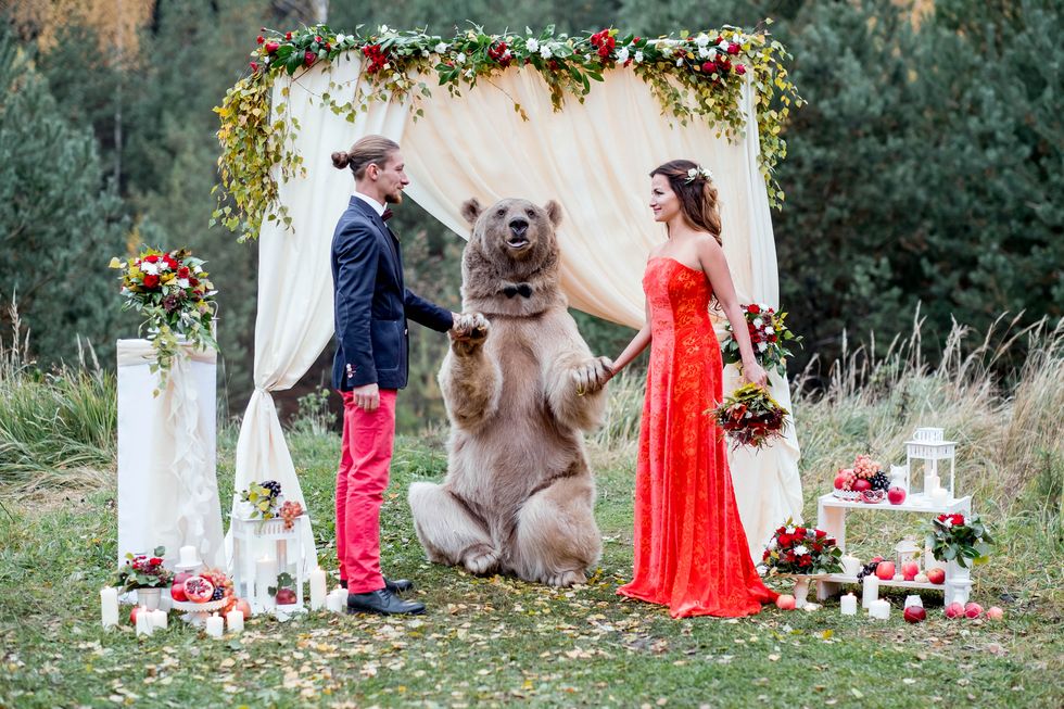 Bear Officiates Wedding in Russia