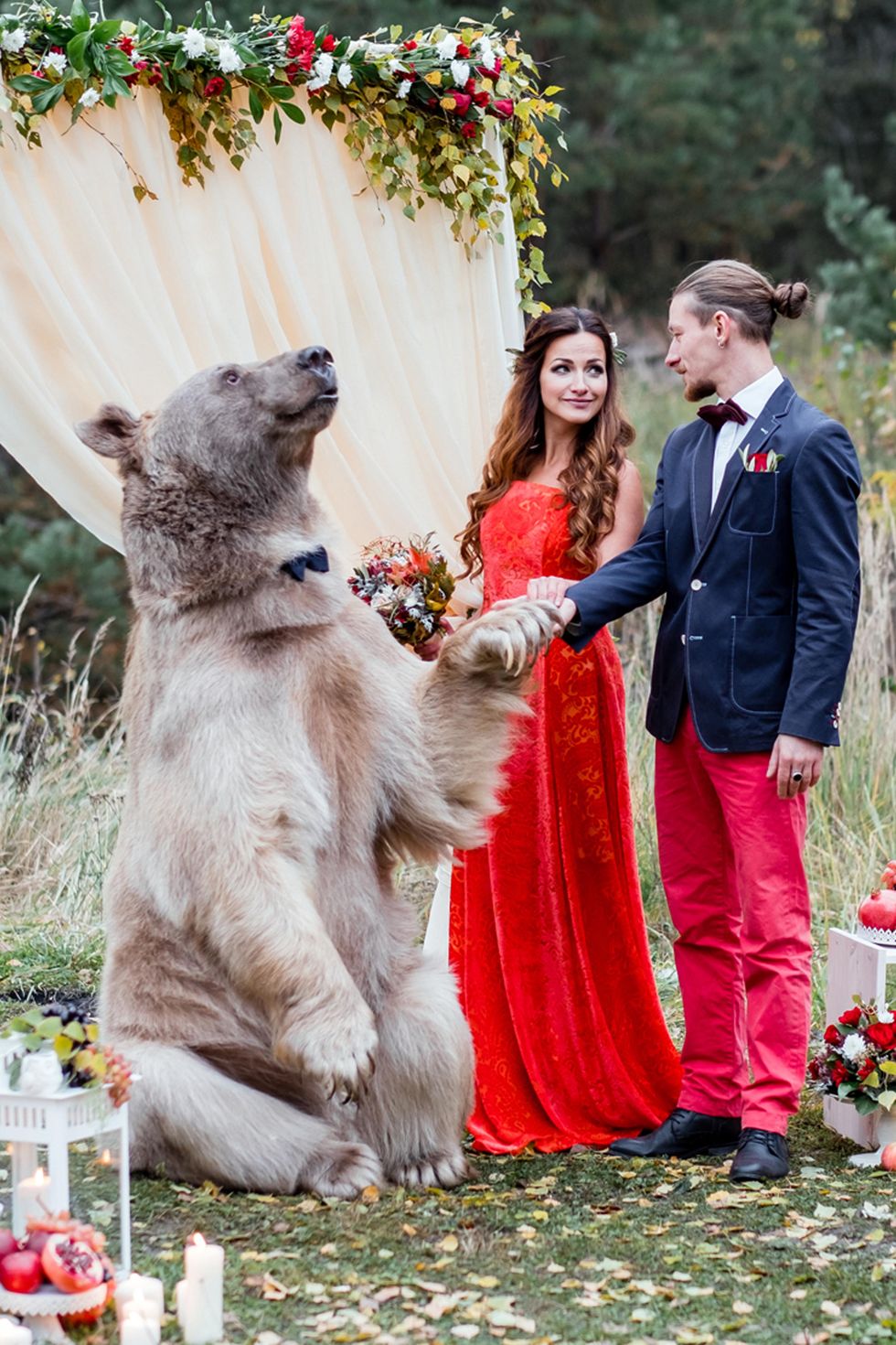 Bear Officiates Wedding in Russia